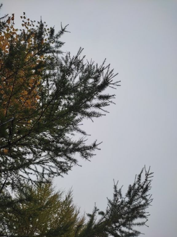 IMG_20221003_121415.jpg