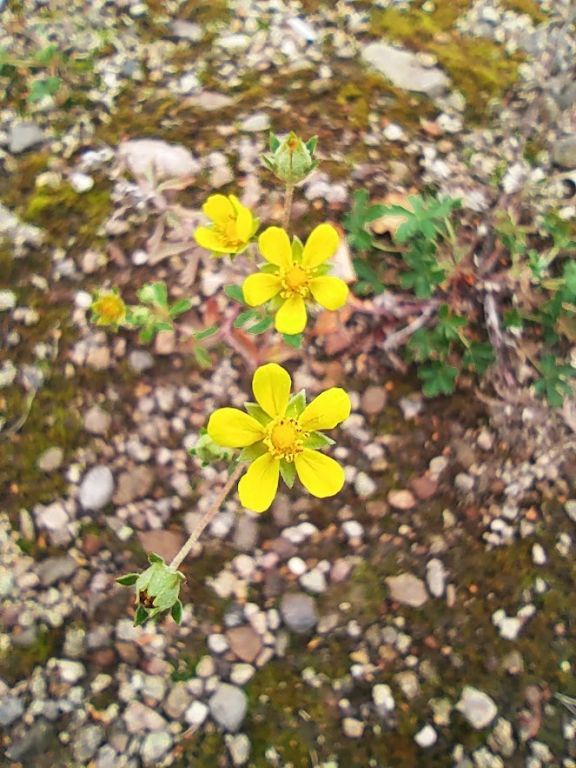IMG_20221003_121936.jpg