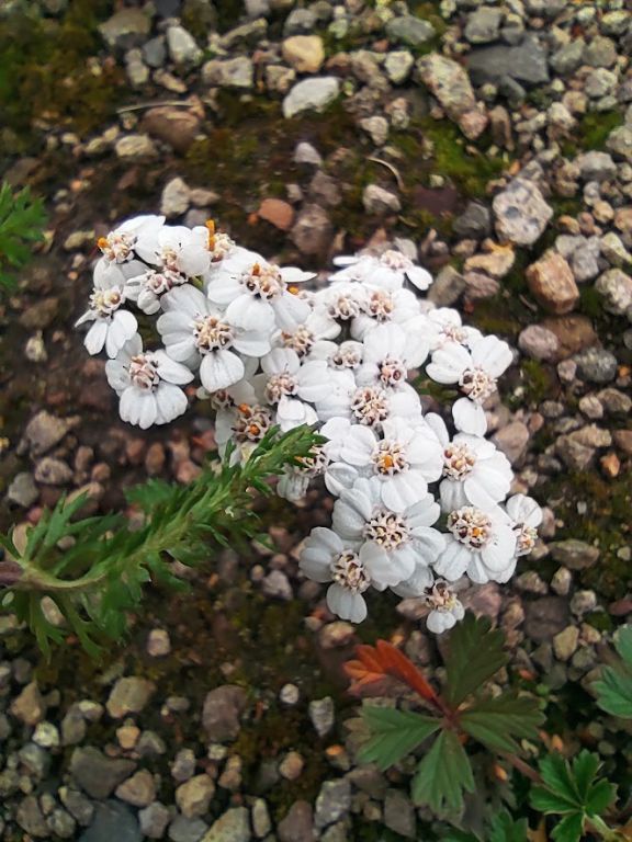 IMG_20221003_121945.jpg